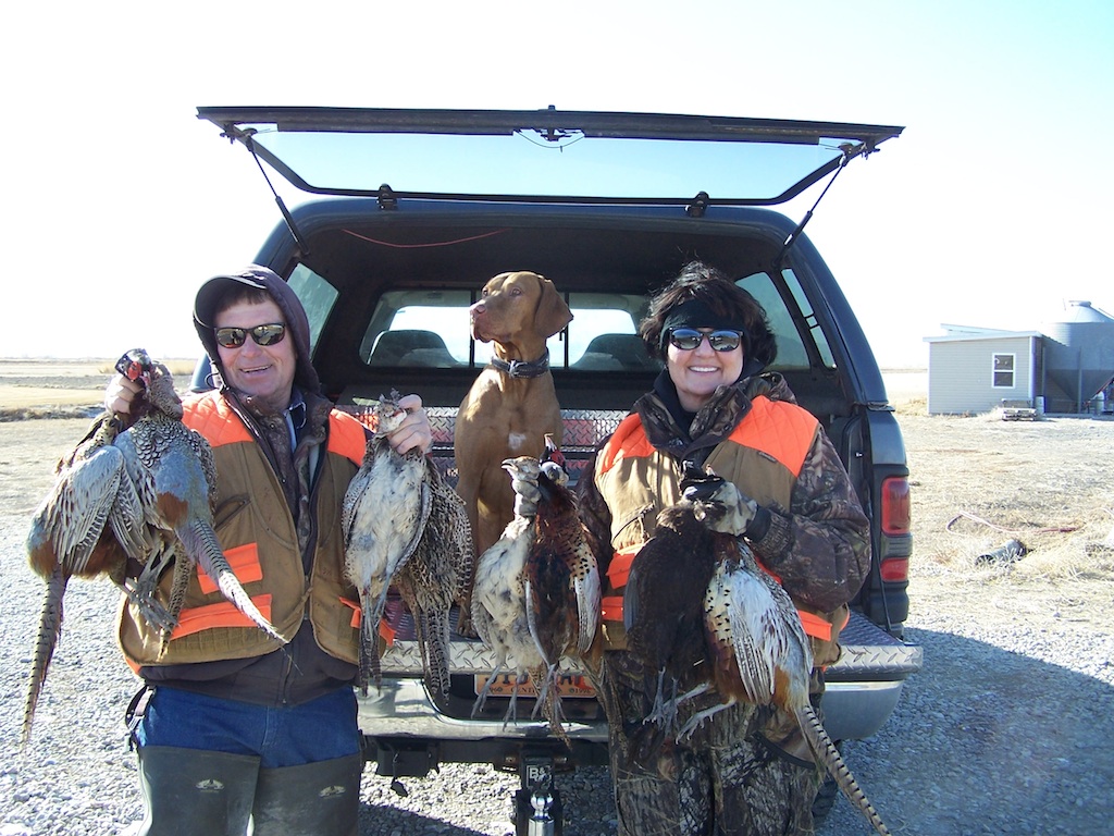 Bird dog on point
